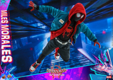 Hot Toys 1/6 MMS567 Spider-Man: Into the Spider-Verse - Miles Morales