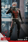 Hot Toys 1/6 MMS308 Ant-Man