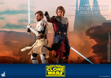 Hot Toys 1/6 TMS020 - Star Wars The Clone Wars - Anakin Skywalker and Stap