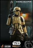 Hot Toys 1/6 TMS031  The Mandalorian -  Shoretrooper