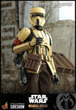 Hot Toys 1/6 TMS031  The Mandalorian -  Shoretrooper