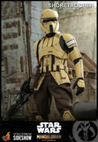 Hot Toys 1/6 TMS031  The Mandalorian -  Shoretrooper