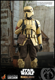Hot Toys 1/6 TMS031  The Mandalorian -  Shoretrooper
