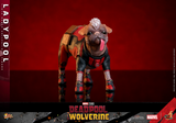 Hot Toys MMS747 - Deadpool & Wolverine - Ladypool