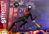 Hot Toys 1/6 MMS710 Spider-Man: Across the Spider-Verse - Miles Morales Special Edition