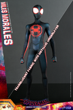 Hot Toys 1/6 MMS710 Spider-Man: Across the Spider-Verse - Miles Morales Special Edition