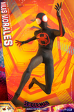 Hot Toys 1/6 MMS710 Spider-Man: Across the Spider-Verse - Miles Morales Special Edition
