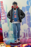 Hot Toys 1/6 MMS710 Spider-Man: Across the Spider-Verse - Miles Morales Special Edition
