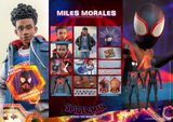 Hot Toys 1/6 MMS710 Spider-Man: Across the Spider-Verse - Miles Morales Special Edition