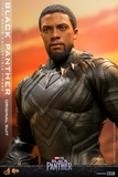 Hot Toys 1/6 MMS671 Black Panther - Black Panther (Original Suit)