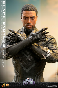 Hot Toys 1/6 MMS671 Black Panther - Black Panther (Original Suit)