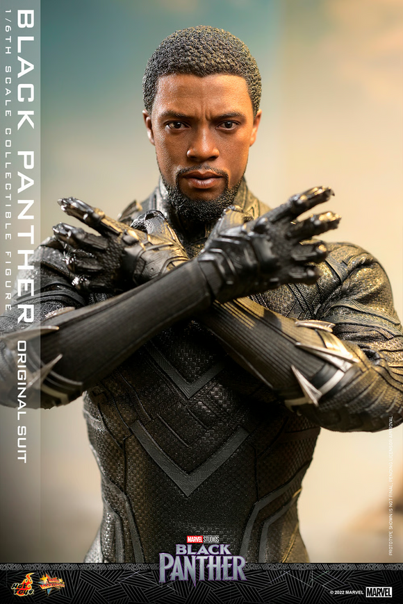 Hot Toys 1/6 MMS671 Black Panther - Black Panther (Original Suit)