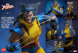 Hono Studios / Hot Toys 1/6 Marvel X-men - Wolverine (Unmasked)