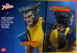 Hono Studios / Hot Toys 1/6 Marvel X-men - Wolverine (Unmasked)