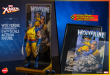 Hono Studios / Hot Toys 1/6 Marvel X-men - Wolverine (Unmasked)
