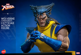 Hono Studios / Hot Toys 1/6 Marvel X-men - Wolverine (Unmasked)