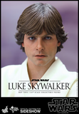 Hot Toys 1/6 MMS297 Star Wars Episode IV: A New Hope - Luke Skywalker