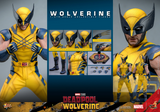Hot Toys 1/6 MMS753 Deadpool & Wolverine - Wolverine