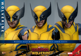 Hot Toys 1/6 MMS753 Deadpool & Wolverine - Wolverine