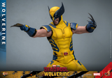 Hot Toys 1/6 MMS753 Deadpool & Wolverine - Wolverine