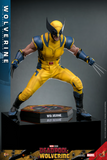 Hot Toys 1/6 MMS753 Deadpool & Wolverine - Wolverine