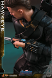 Hot Toys 1/6 MMS531 Avengers Endgame - Hawkeye