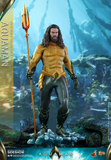 Hot Toys MMS518 Aquaman -  Aquaman
