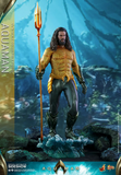 Hot Toys MMS518 Aquaman -  Aquaman
