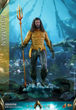 Hot Toys MMS518 Aquaman -  Aquaman