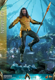 Hot Toys MMS518 Aquaman -  Aquaman