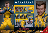 Hot Toys 1/6 MMS754 Deadpool & Wolverine - Wolverine (Deluxe Version)