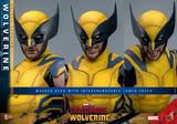 Hot Toys 1/6 MMS754 Deadpool & Wolverine - Wolverine (Deluxe Version)