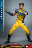 Hot Toys 1/6 MMS754 Deadpool & Wolverine - Wolverine (Deluxe Version)