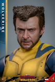 Hot Toys 1/6 MMS754 Deadpool & Wolverine - Wolverine (Deluxe Version)