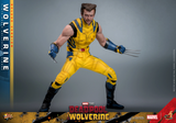 Hot Toys 1/6 MMS754 Deadpool & Wolverine - Wolverine (Deluxe Version)