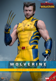 Hot Toys 1/6 MMS754 Deadpool & Wolverine - Wolverine (Deluxe Version)