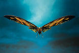 S. H. Monsterarts Godzilla: King of the Monsters 2019 - Mothra & Rodan Set