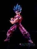 Xavier Cal Custom S. H. Figuarts Dragon Ball Super Son Goku SSGSS+ Kaioken Ver.
