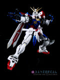 Xavier Cal Custom 1/100 Hi-Resolution G Gundam - God Gundam