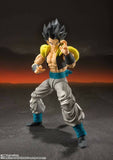 S. H. Figuarts Dragon Ball Super Broly - Super Saiyan God Super Saiyan Gogeta Re-issue