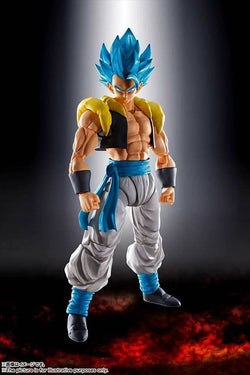 S. H. Figuarts Dragon Ball Super Broly - Super Saiyan God Super Saiyan Gogeta Re-issue