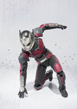 S. H. Figuarts Captain America Civil War : Ant-man