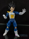 Xavier Cal Custom: S. H. Figuarts Dragon Ball Z First Encounter Vegeta