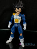 Xavier Cal Custom: S. H. Figuarts Dragon Ball Z First Encounter Vegeta