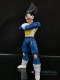 Xavier Cal Custom: S. H. Figuarts Dragon Ball Z First Encounter Vegeta