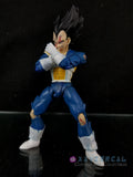 Xavier Cal Custom: S. H. Figuarts Dragon Ball Z First Encounter Vegeta