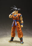 S. H. Figuarts Dragon Ball Z A Saiyan Raised On Earth - Son Goku Re-issue