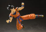 S. H. Figuarts Dragon Ball Z A Saiyan Raised On Earth - Son Goku Re-issue