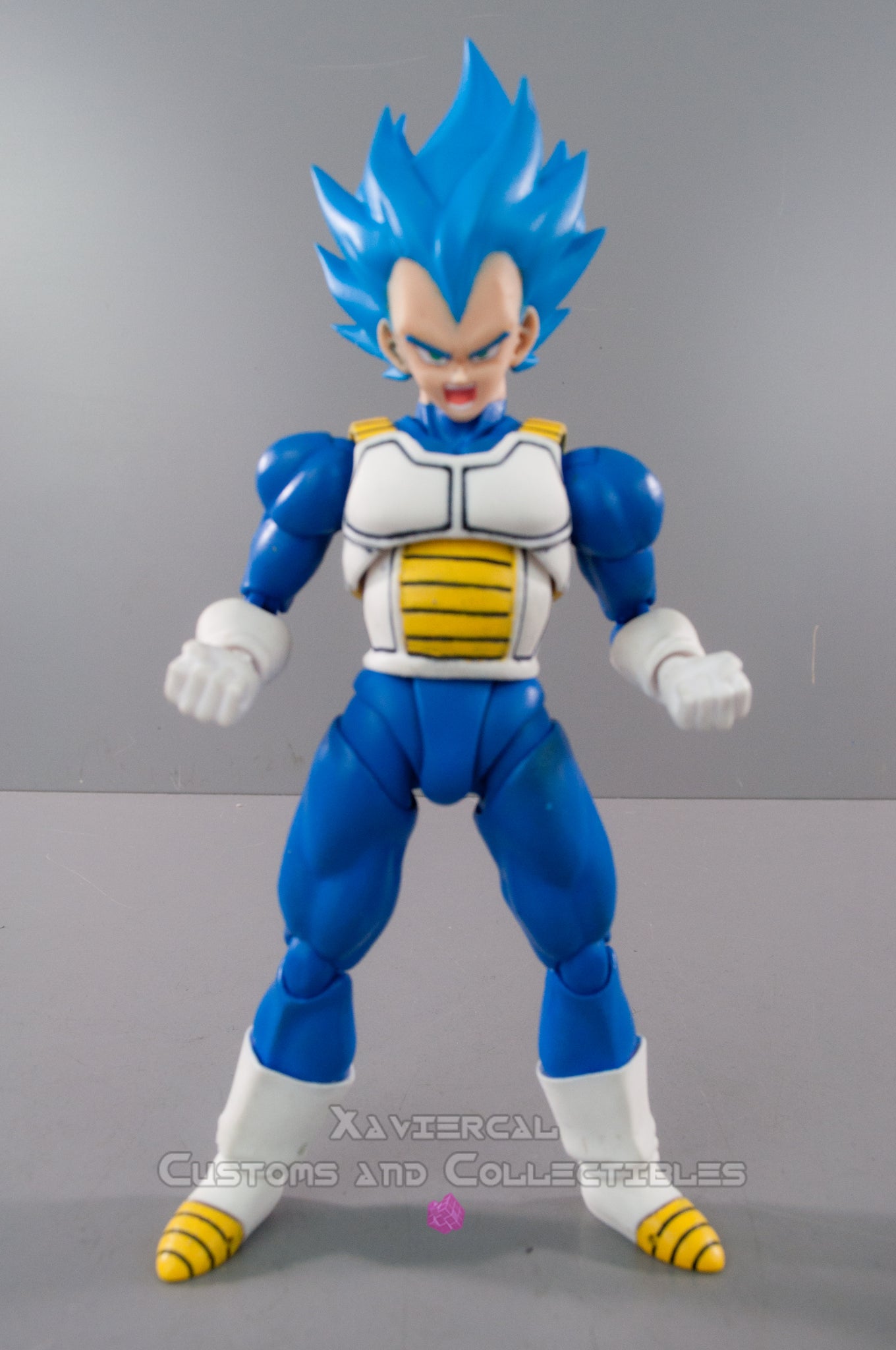 Xavier Cal Custom S. H. Figuarts Dragon Ball Z Super Saiyan Blue God- – Xavier  Cal Customs and Collectibles