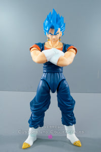 Xavier Cal Custom S. H. Figuarts Dragon Ball Super: Vegetto Blue